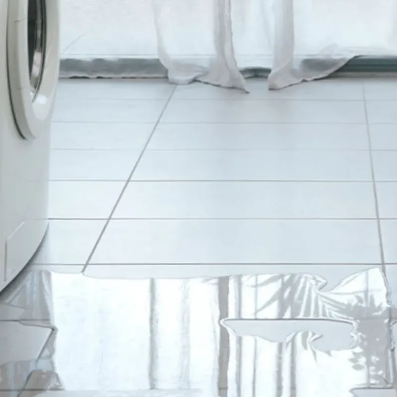 Appliance Leak Cleanup in Princeton, FL