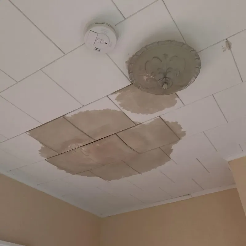 Ceiling Water Damage Repair in Princeton, FL